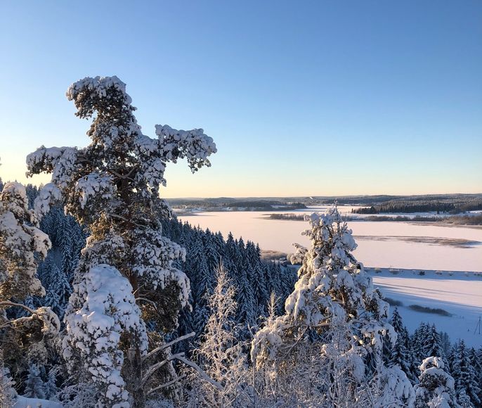 Карелия: Новый год у Талвиукко
