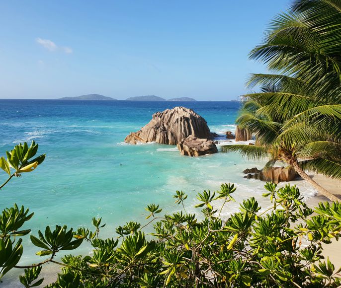 Сейшелы на яхте-катамаране по островам, райские острова