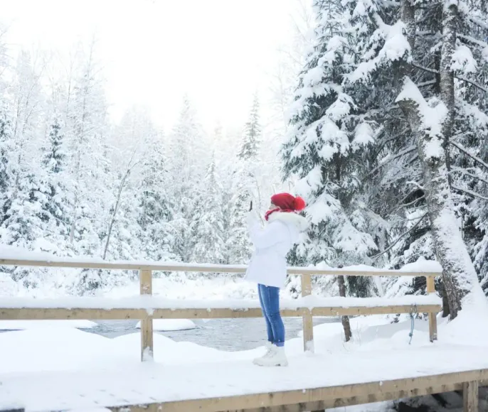 Сила природы Карелии. Долина водопадов