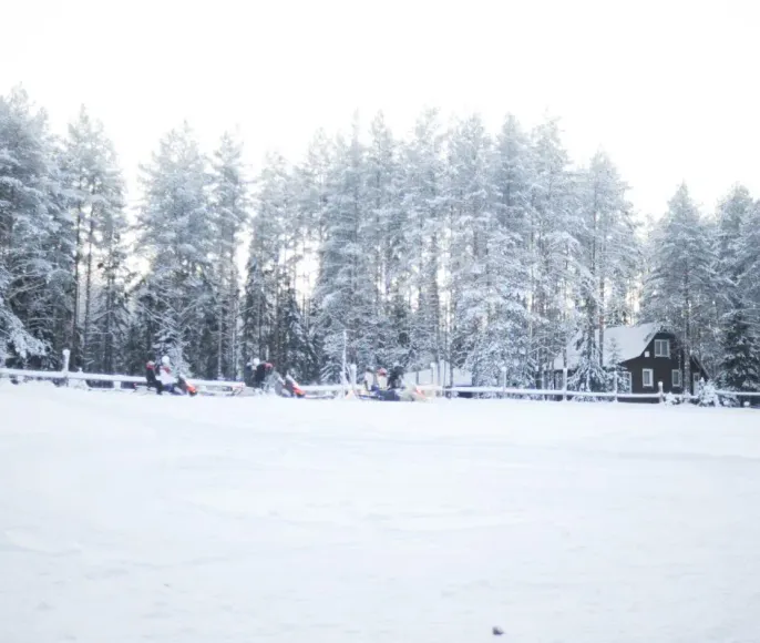 Семейный праздник к нам приходит! В гости к хаски и карельскому Деду Морозу