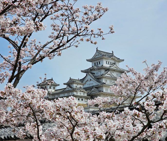 Япония: гастро-тур в сезон Cакуры