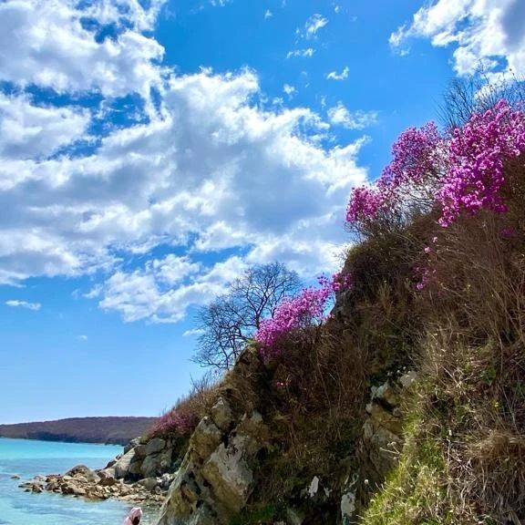 Тур Весенняя рапсодия 2026 г.Владивосток