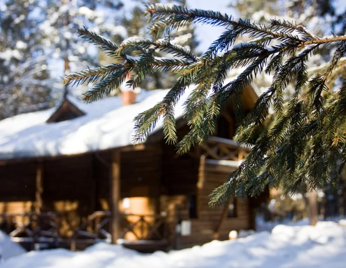 Зимний Йога-Weekend в Эко отеле