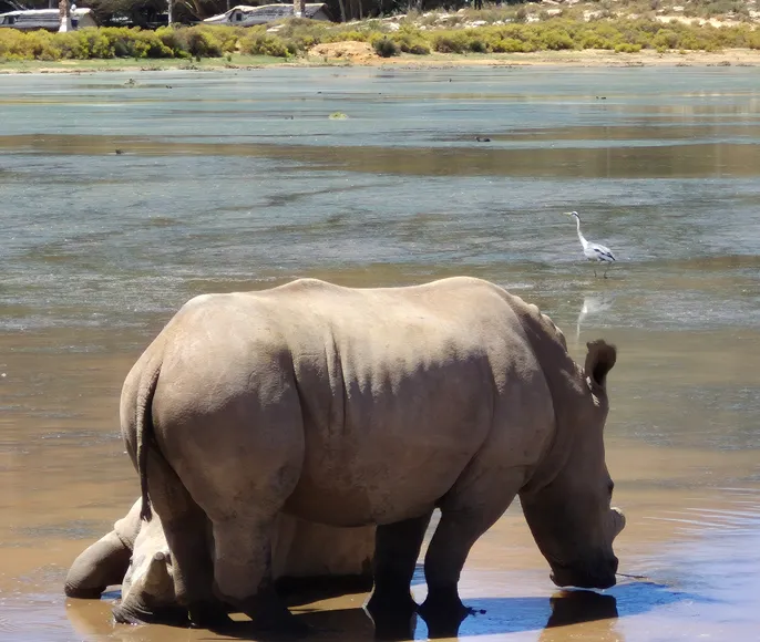 Путь к Мысу Доброй Надежды.