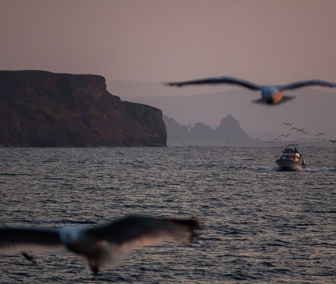 Байкал + Аршан