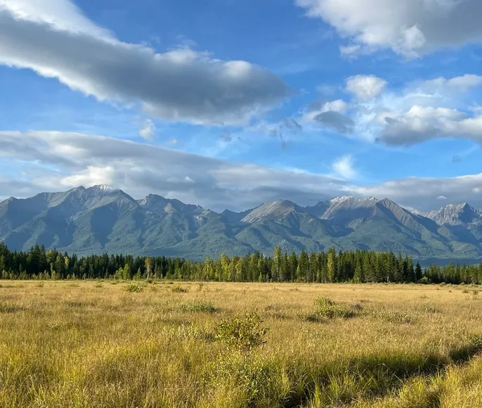 Долина Аршанов: Путешествие к Источнику Силы и Красоты