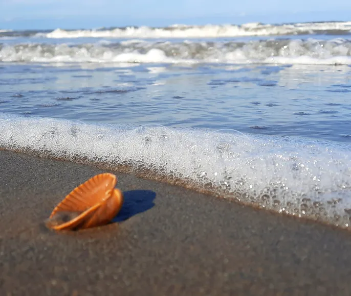 Горы и море