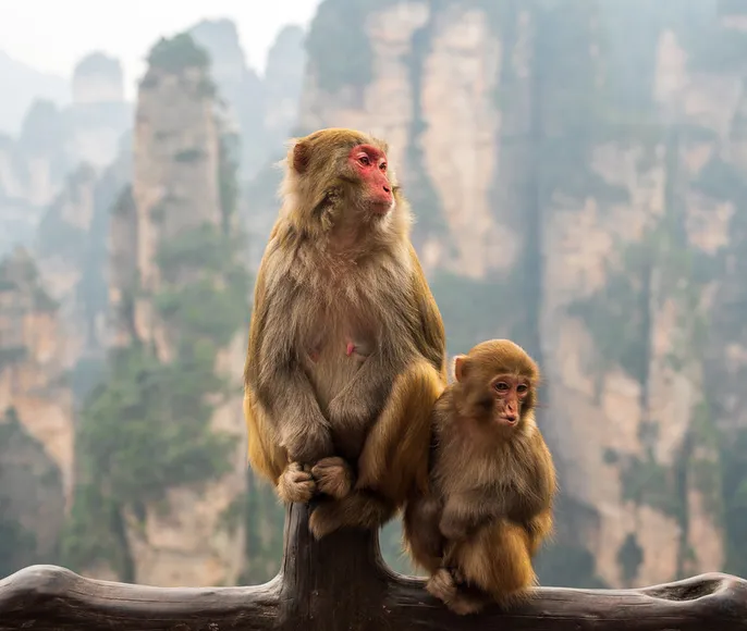 Китай: Все Самое Главное (11 дней)