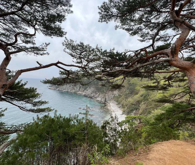 Гастротур во Владивосток. Комфорт + с питанием