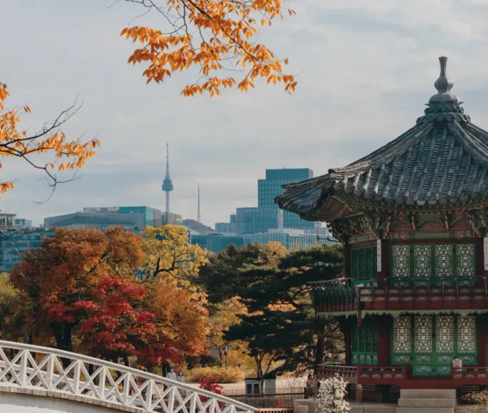 Сезон красных клёнов. Сеул+Чеджу