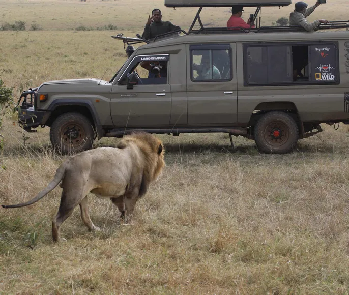 Unforgettable Safari Experiences in Maasai Mara