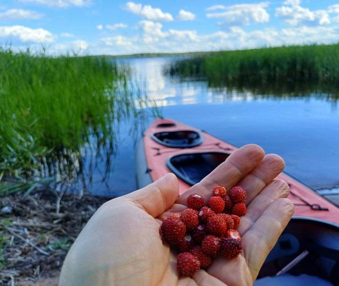 Сплав по Волге к Старицким каменоломням