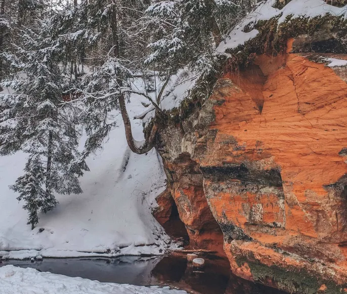 Деревни и усадьбы реки Оредеж с посещением закрытого дворца Демидовых!