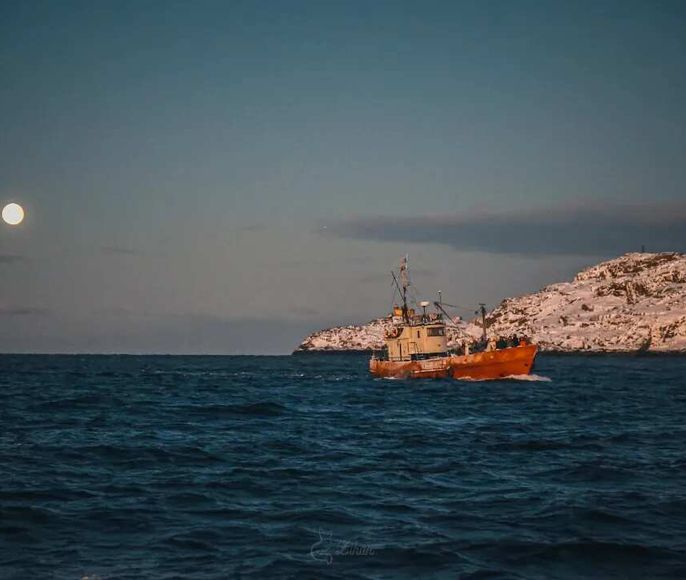 Морская прогулка в гости к Китам