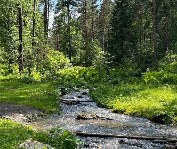 Алтай. Жизнь — Река. Экспедиция на плато Укок.