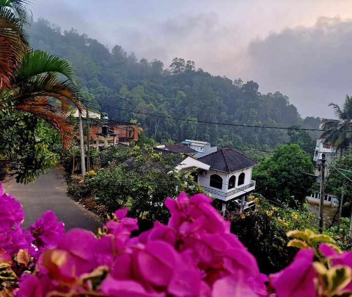 Остров гармонии