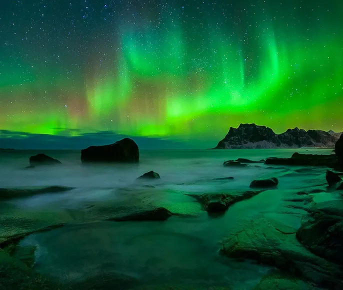 Открой для себя Арктику. Все включено, описание ниже