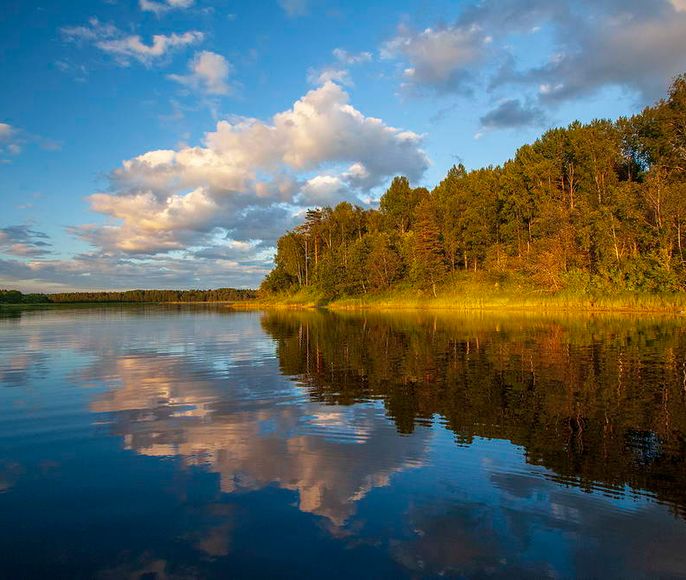 НижнеСвирский заповедник. Экологический тур.