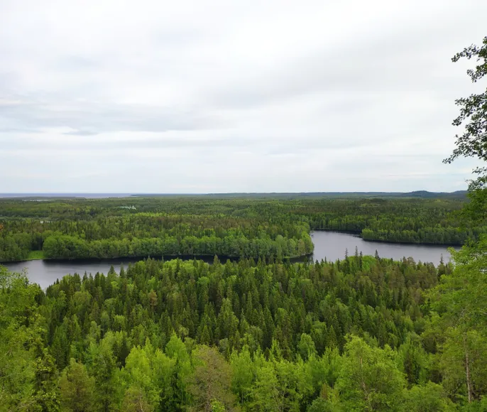 Сплав по реке Тумча