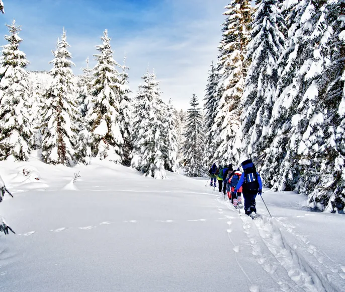 Зимний поход на перевал Дятлова на снегоступах
