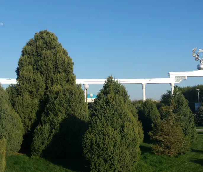 В Узбекистан с комфортом и друзьями!