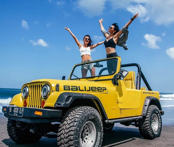 Индивидуальное сопровождение