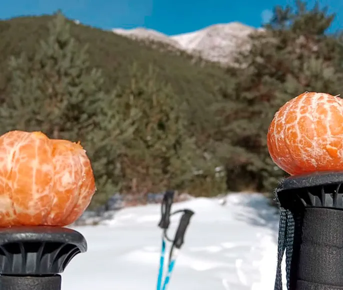 Зимний треккинг в Чегемском ущелье