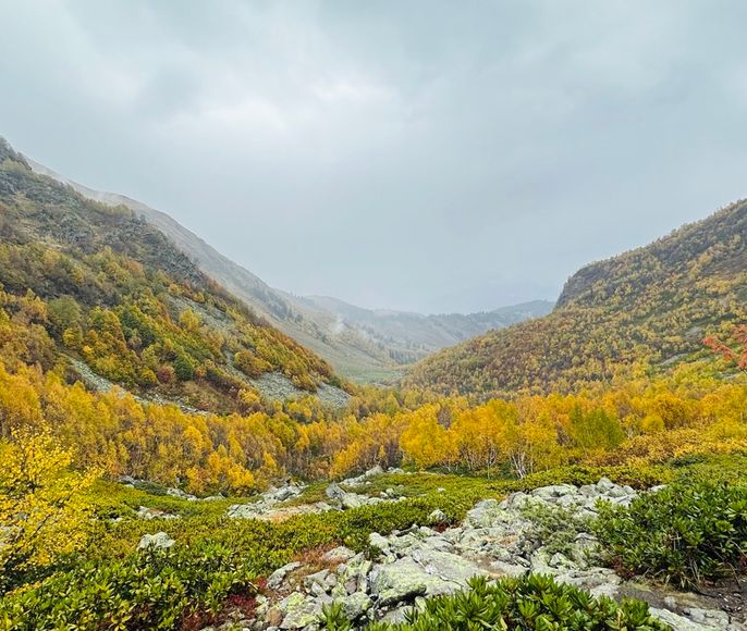 Конный тур «Осень в Архызе»
