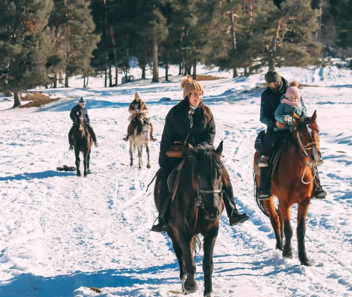Спокойный конный тур Отдых в горах Архыза (3 дня)