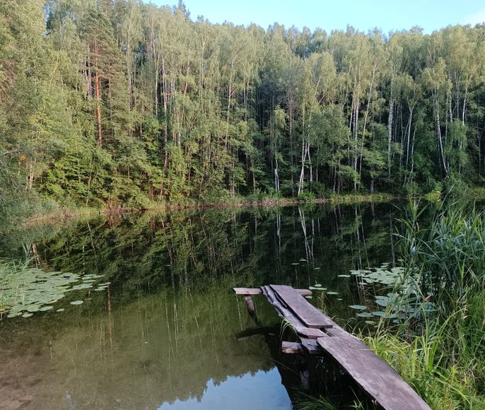 Поход «Короткие ночи» в лесу Марий Эл