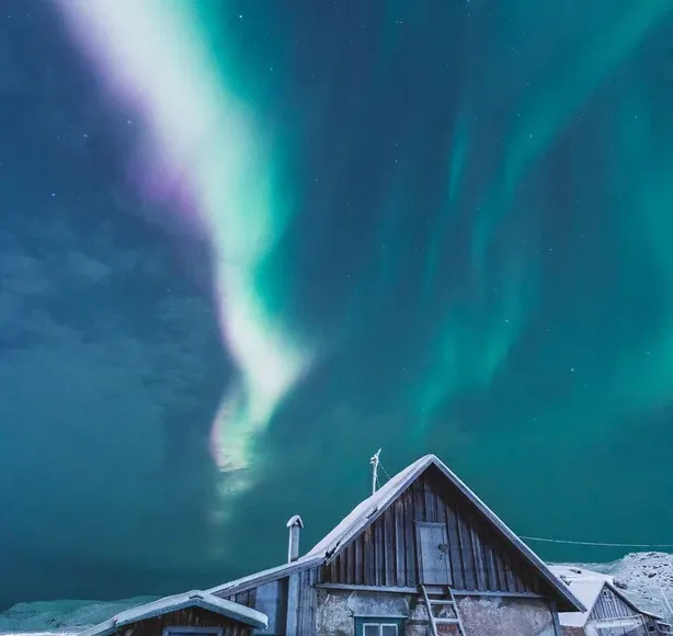 Арктика. Новый год 2026