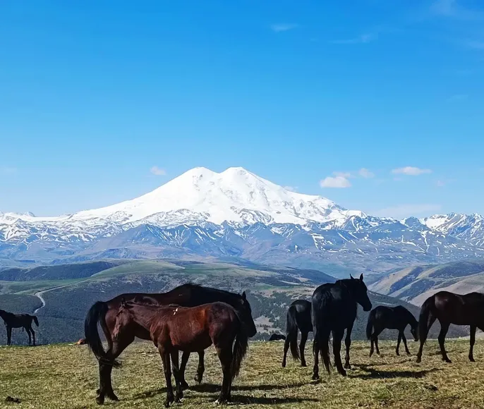 Эльбрус, Домбай, водопады и купание в термальных бассейнах.