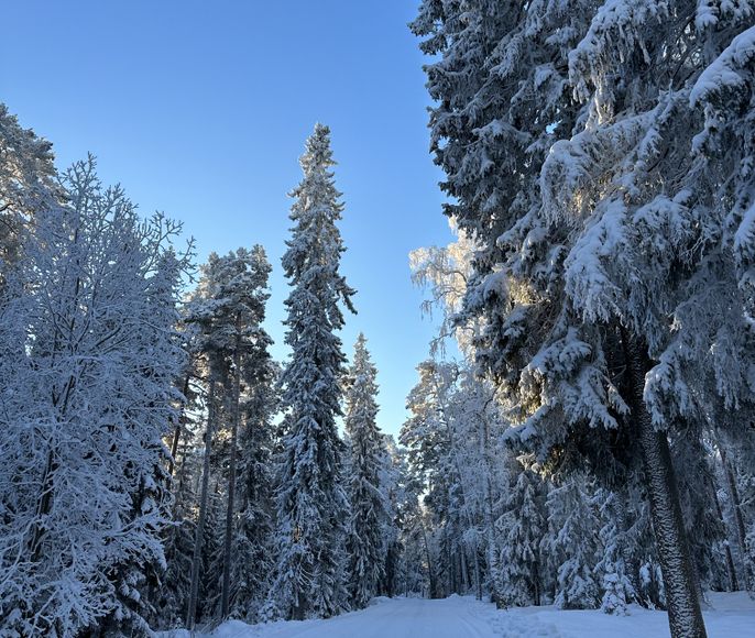 Душа Севера - Архангельск