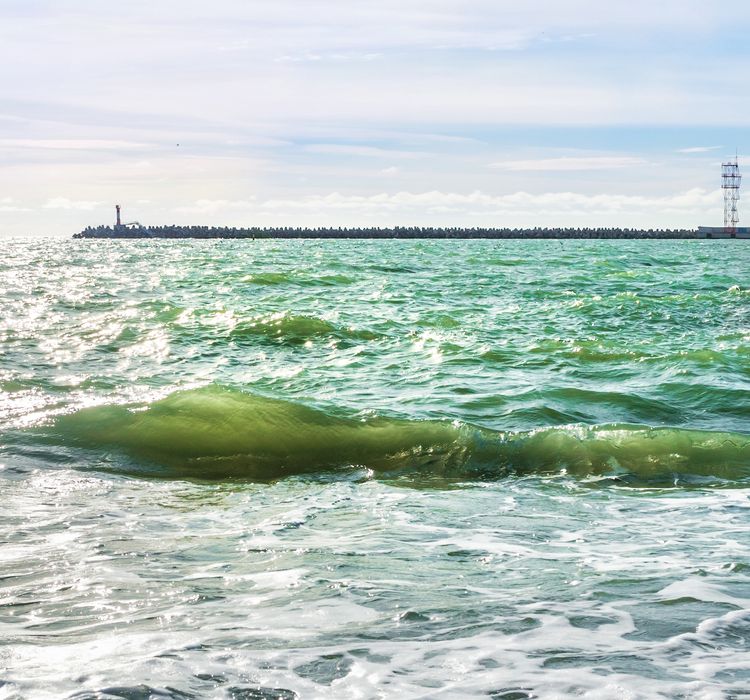 Туры на Черное море