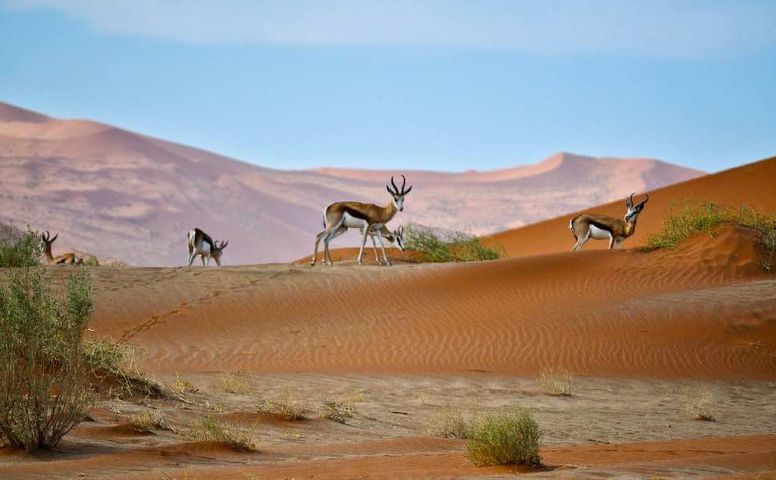 Достопримечательности Намибии