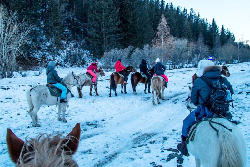 Туроператор по Алтаю