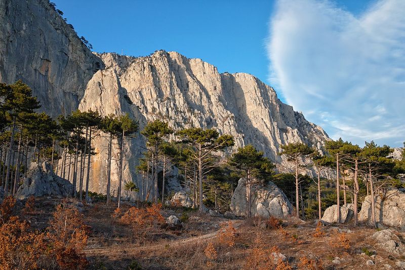 Картинки ялтинский заповедник