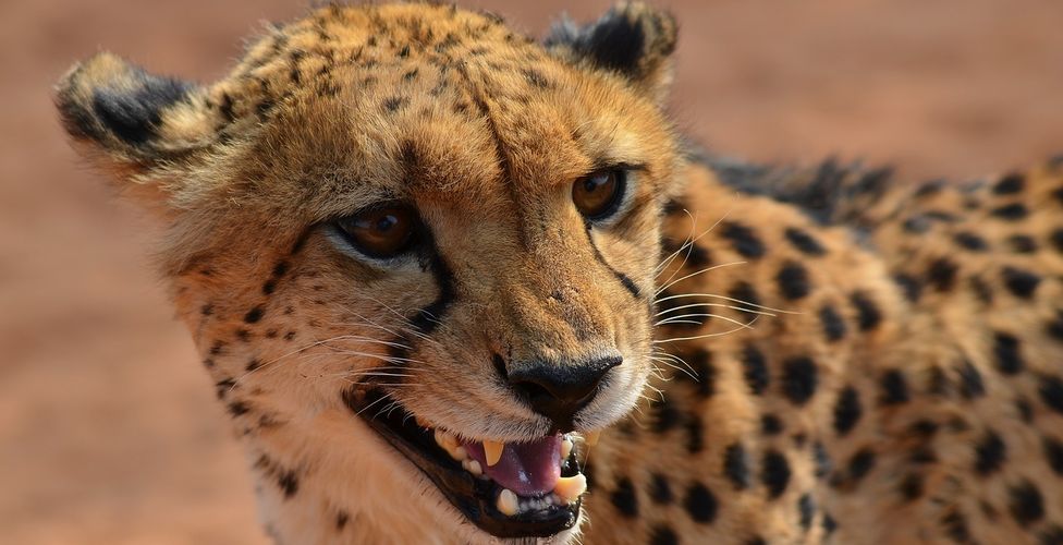 What to do and see in Namibia 