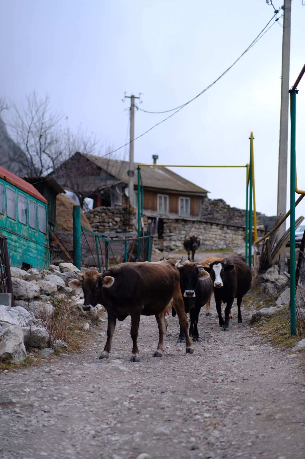 Тур в сердце Осетии. 5 дней. (44/61)