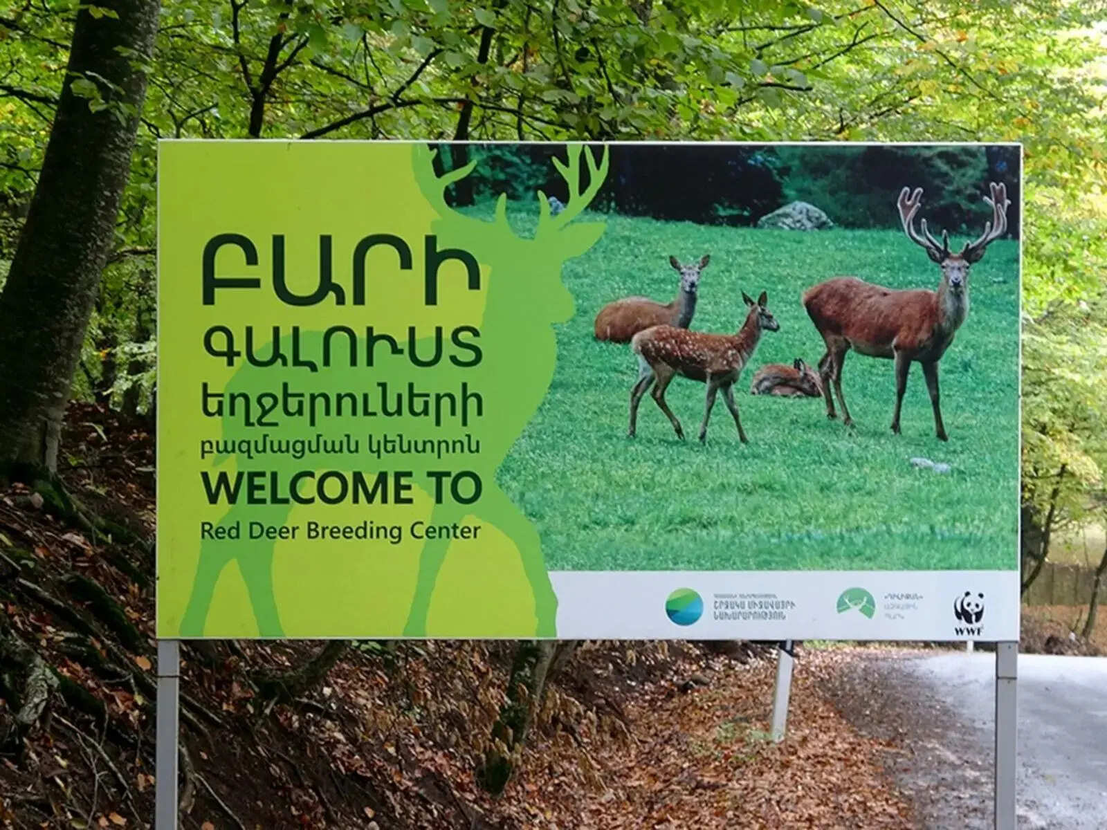 Пешая экскурсия по Дилижанскому национальному парку (3/20)