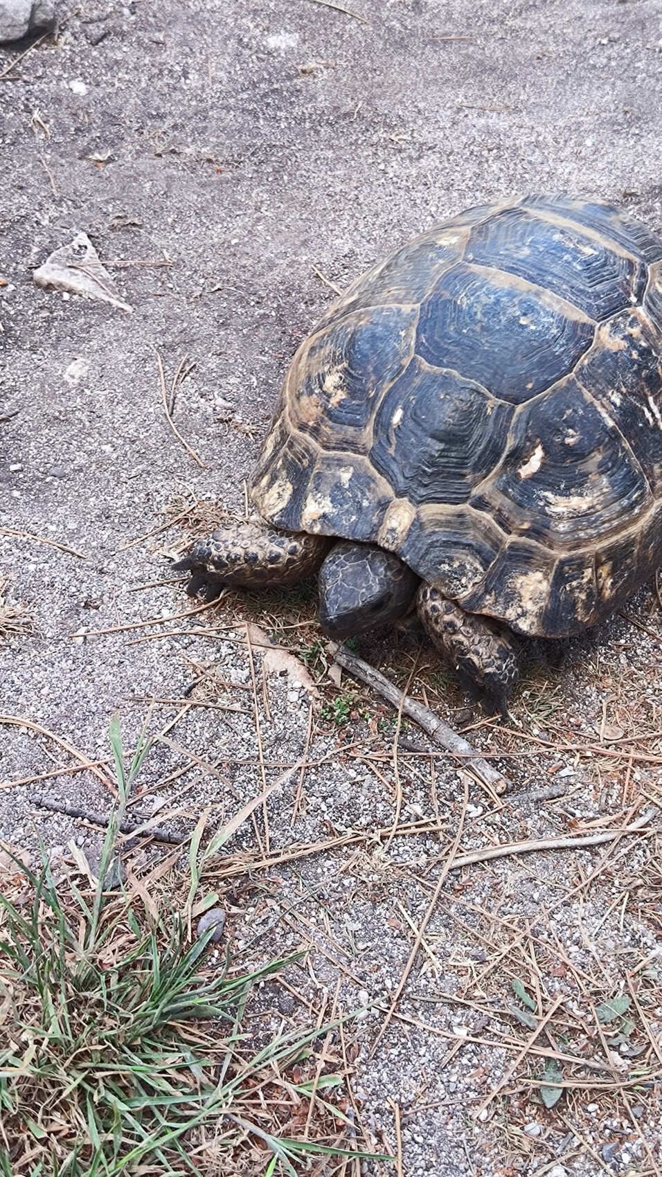 Турецкая Романтика: уютный Каш, деревня Чиралы, ликийская тропа, дюны Патары (20/57)