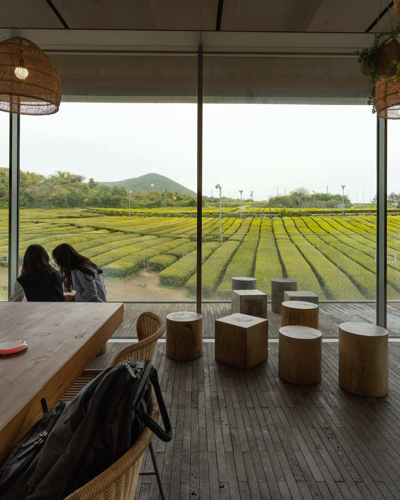 Южная Корея и остров Чеджу. (70/101)