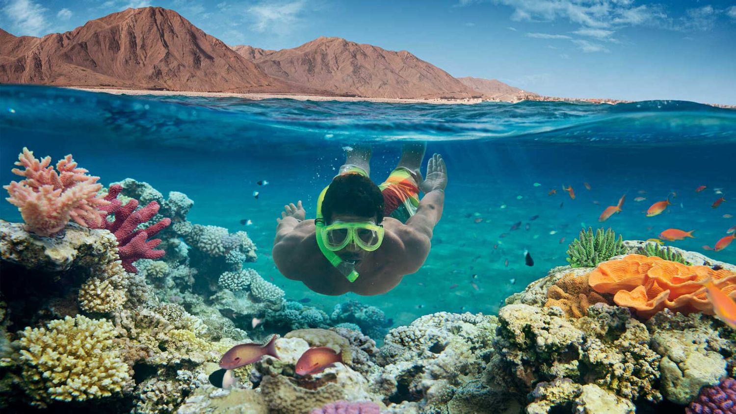 Индивидуальный тур в заповедник Рас-Мохаммед (с обедом из морепродукто (7/17)