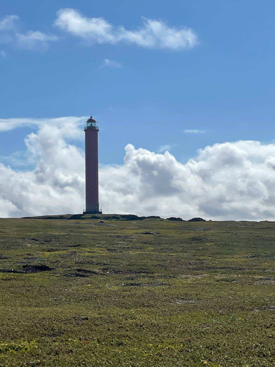 Рыбачий-Премиум 2.0: киты + джипинг + безлимит морепродуктов (по запросу, для готовых групп) (11/31)