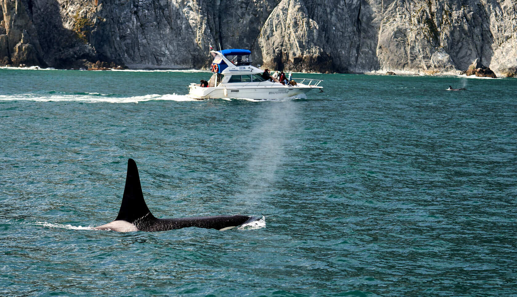 Все, что нужно увидеть на Камчатке в одном туре (5/26)