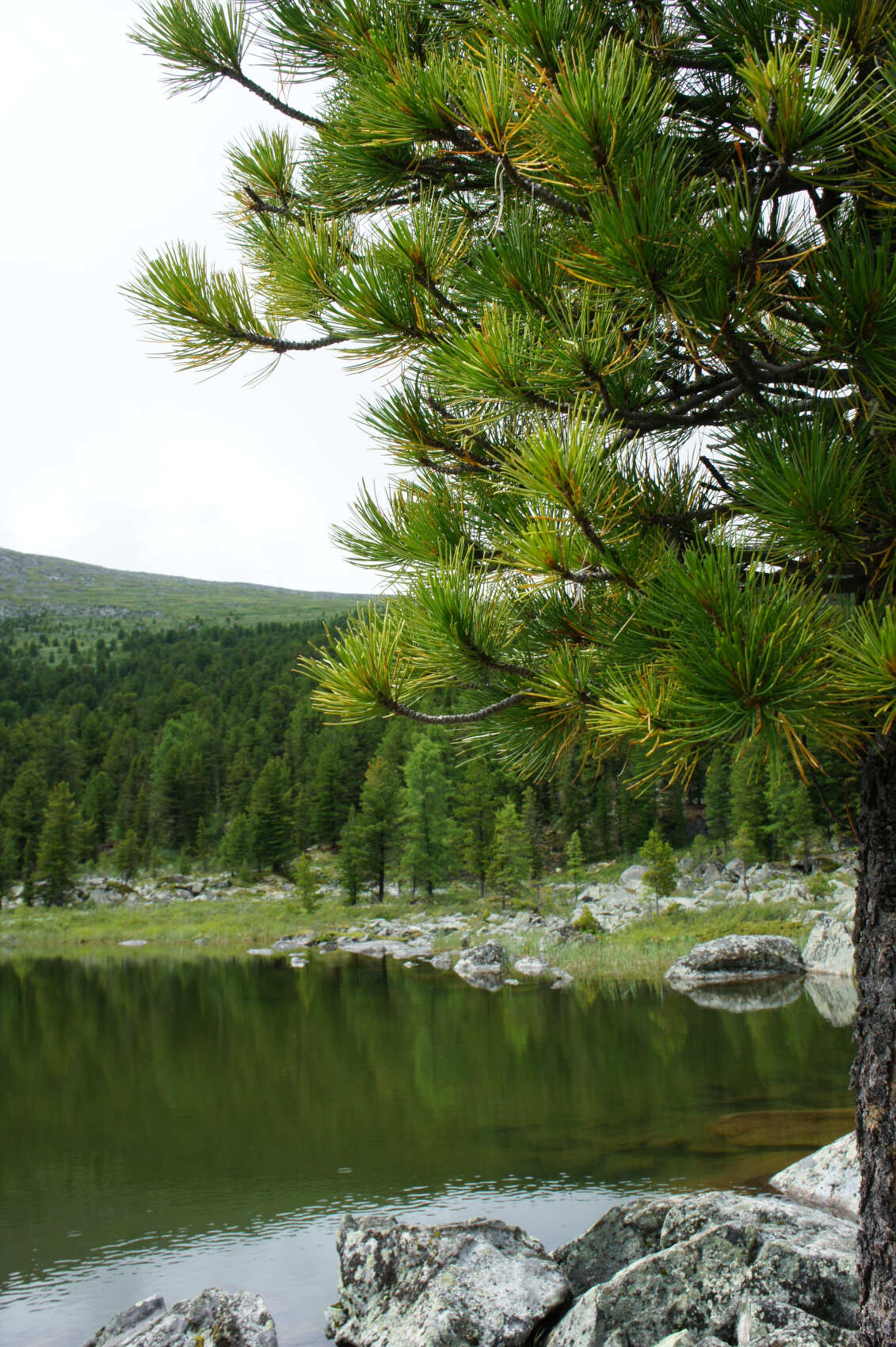 Поднебесье Саян (6/23)