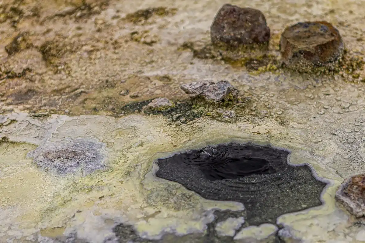 Кунашир и Хабомаи. Путешествие на другую планету (4/142)