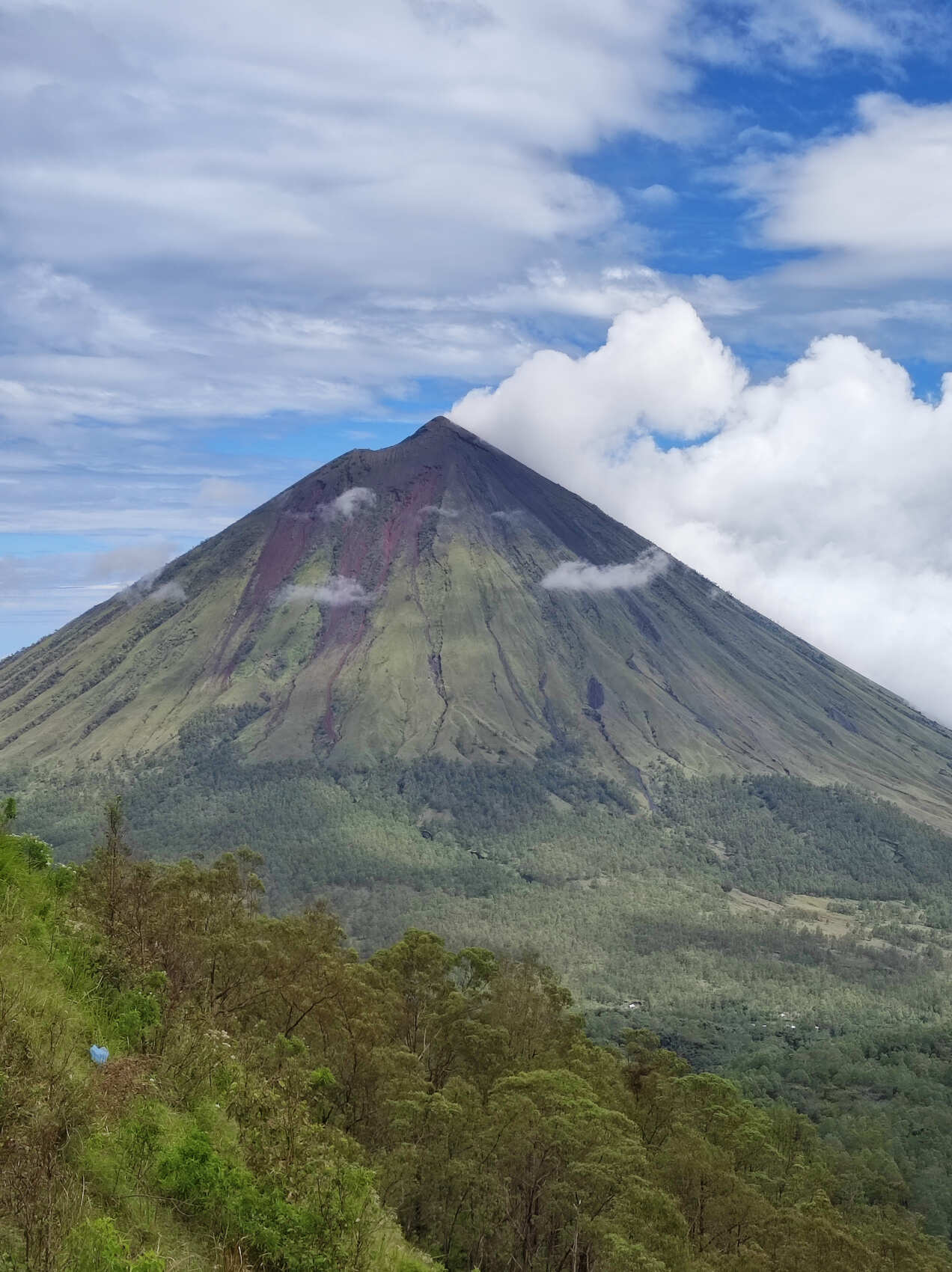 Этнотрип на Флорес и Комодо (3/79)