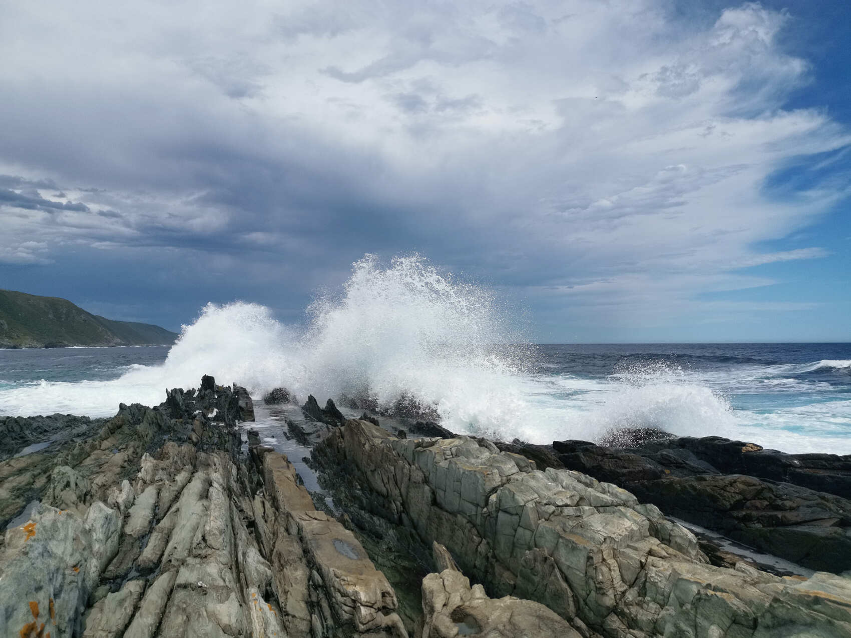 Юар: по дороге садов и сафари (11/16)