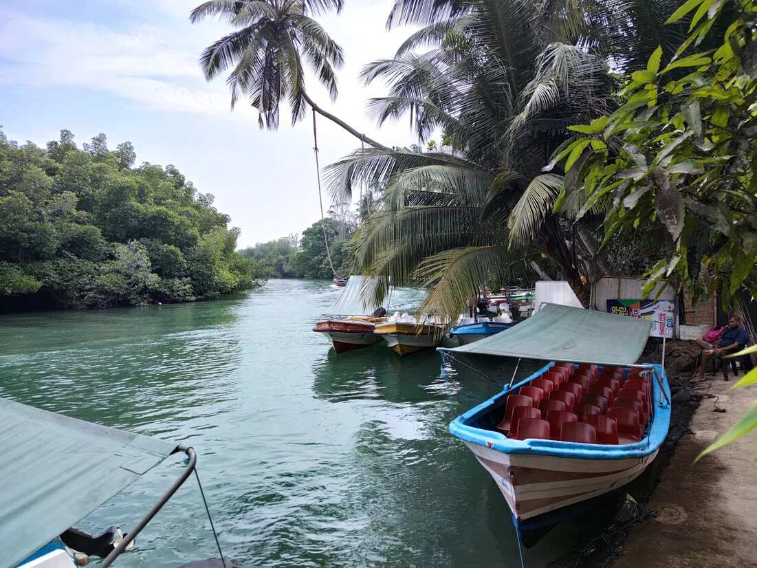 Актив-Йога-Тур Райская Шри-Ланка (5/34)